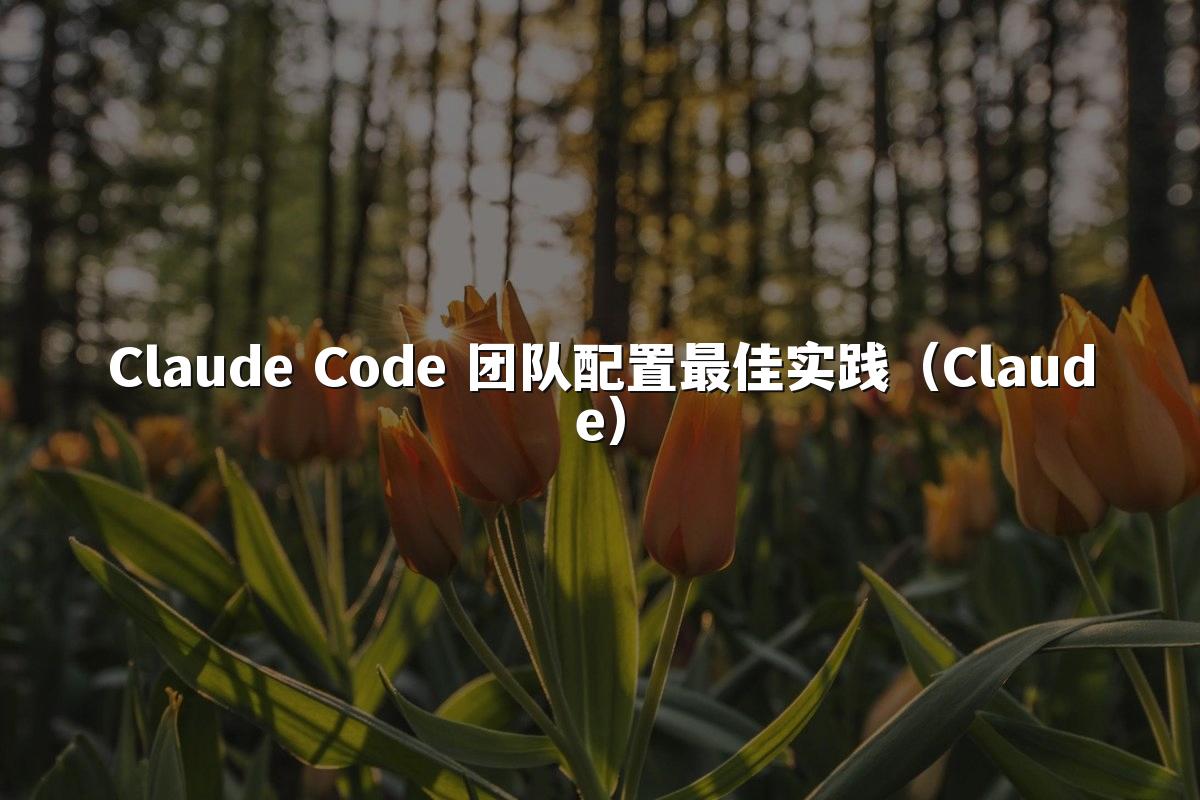 Claude Code 团队配置最佳实践（Claude）