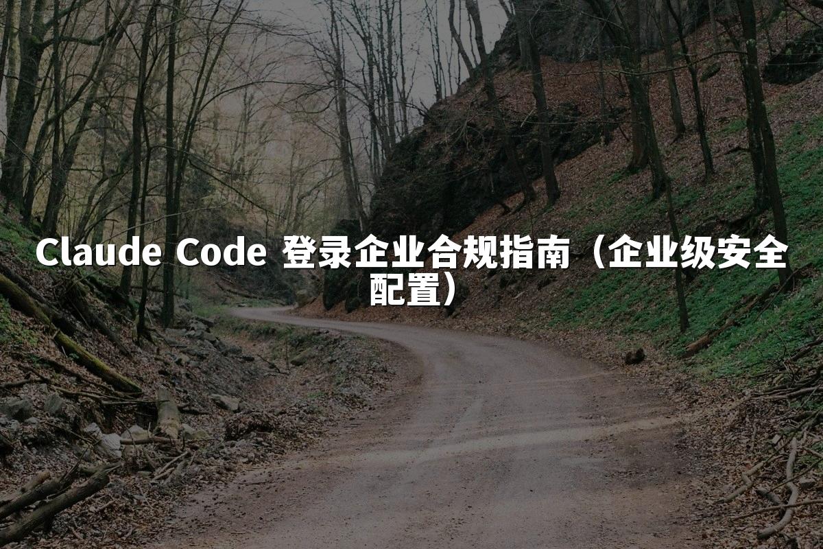 Claude Code 登录企业合规指南（企业级安全配置）
