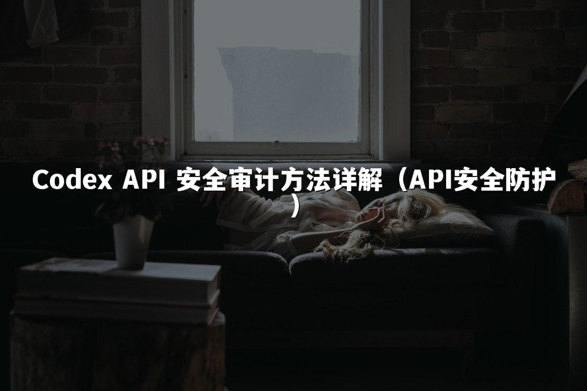 Codex API 安全审计方法详解（API安全防护）