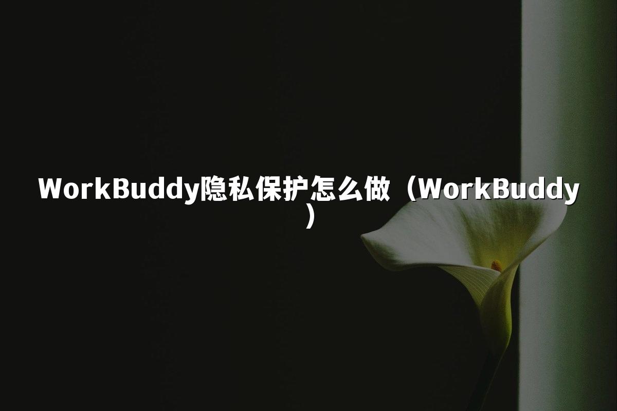 WorkBuddy隐私保护怎么做(WorkBuddy)