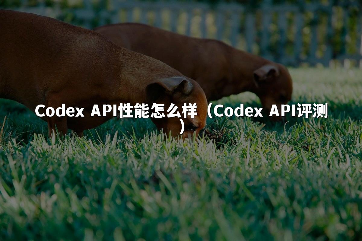 Codex API性能怎么样（Codex API评测）