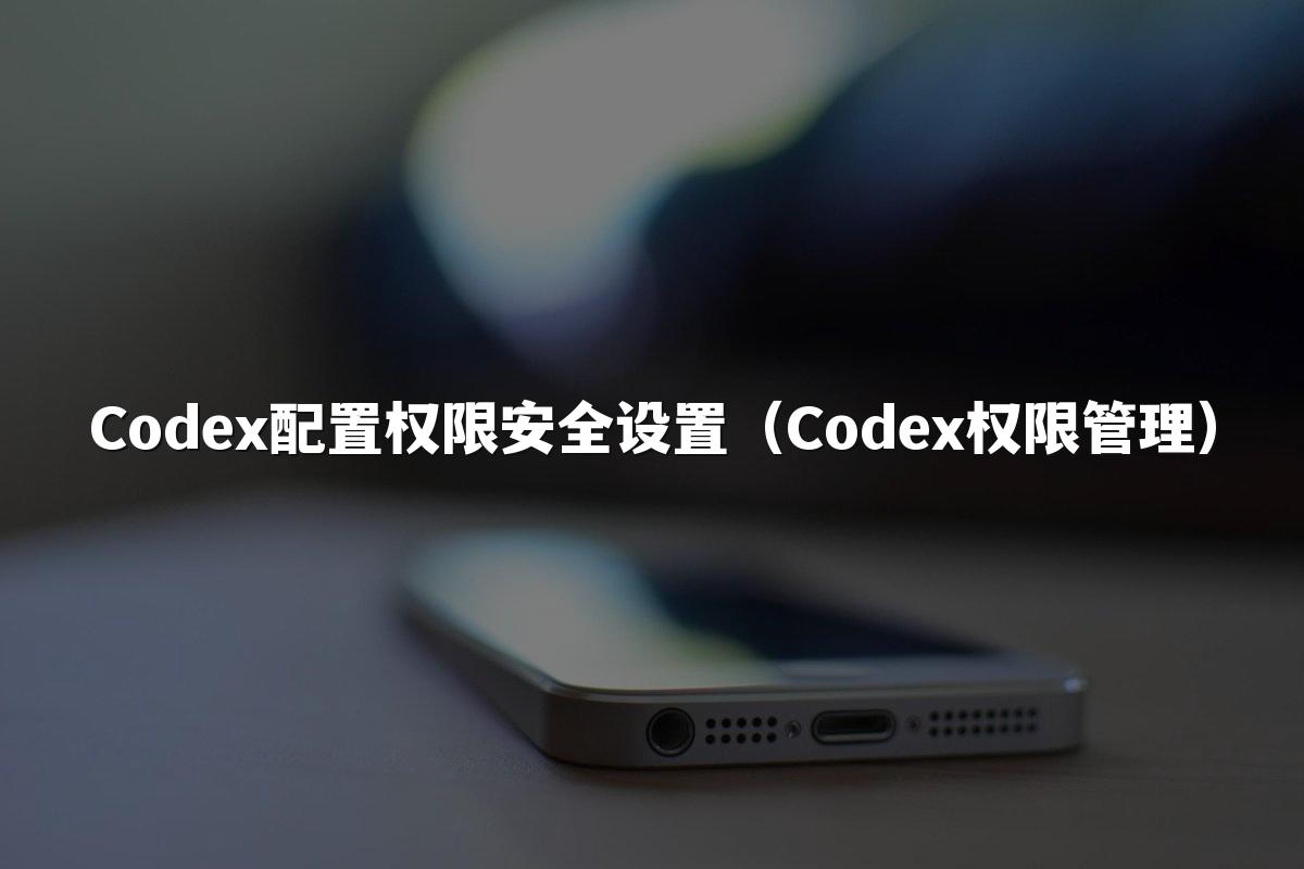 Codex配置权限安全设置（Codex权限管理）