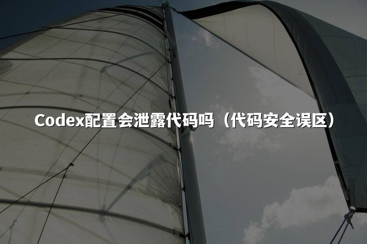 Codex配置会泄露代码吗(代码安全误区)