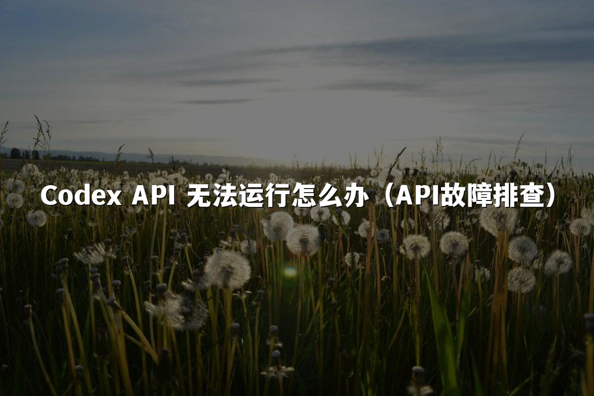 Codex API 无法运行怎么办(API故障排查)