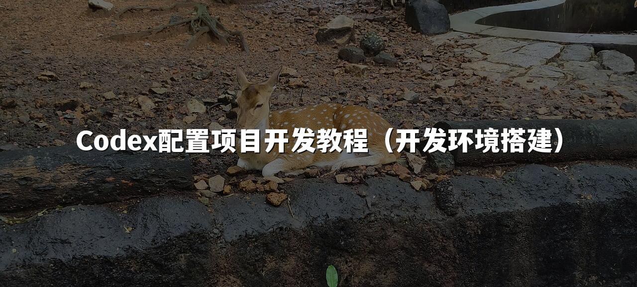 Codex配置项目开发教程(开发环境搭建)