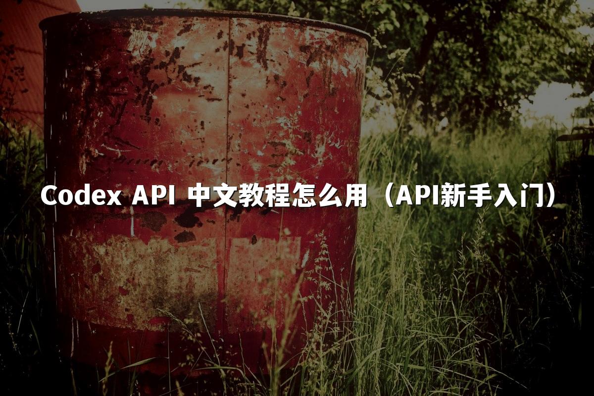 Codex API 中文教程怎么用（API新手入门）