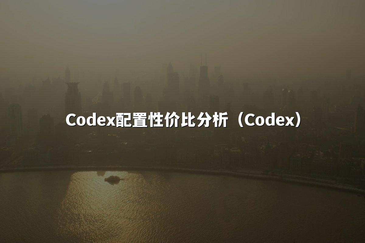 Codex配置性价比分析(Codex)