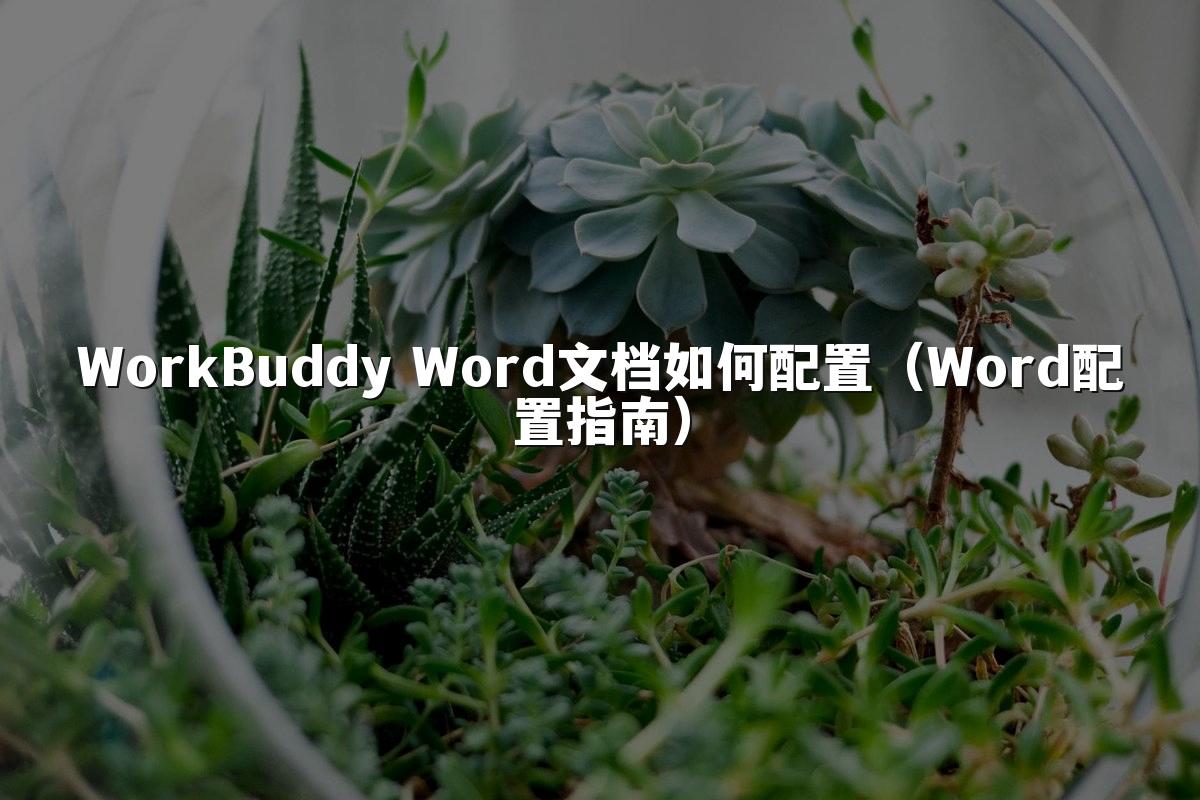 WorkBuddy Word文档如何配置(Word配置指南)
