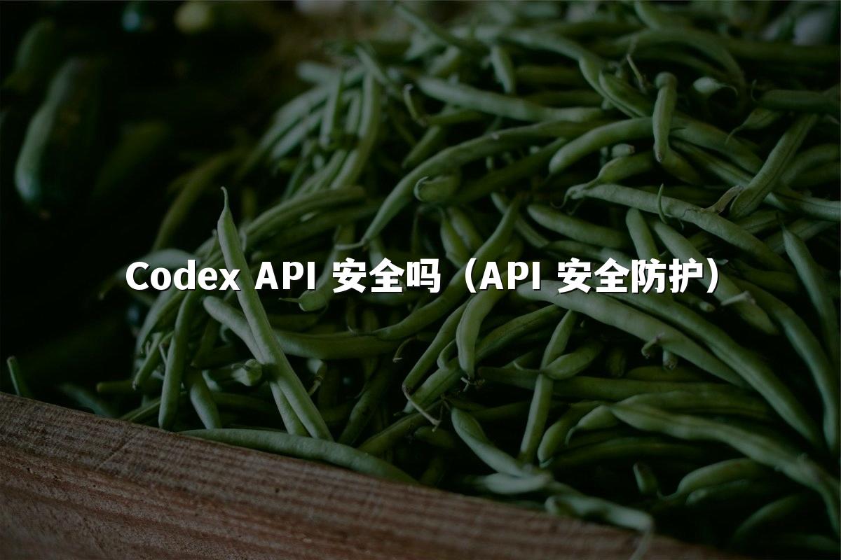 Codex API 安全吗(API 安全防护)