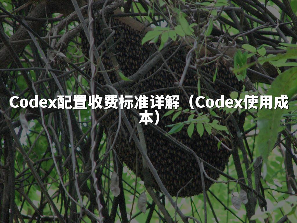 Codex配置收费标准详解(Codex使用成本)