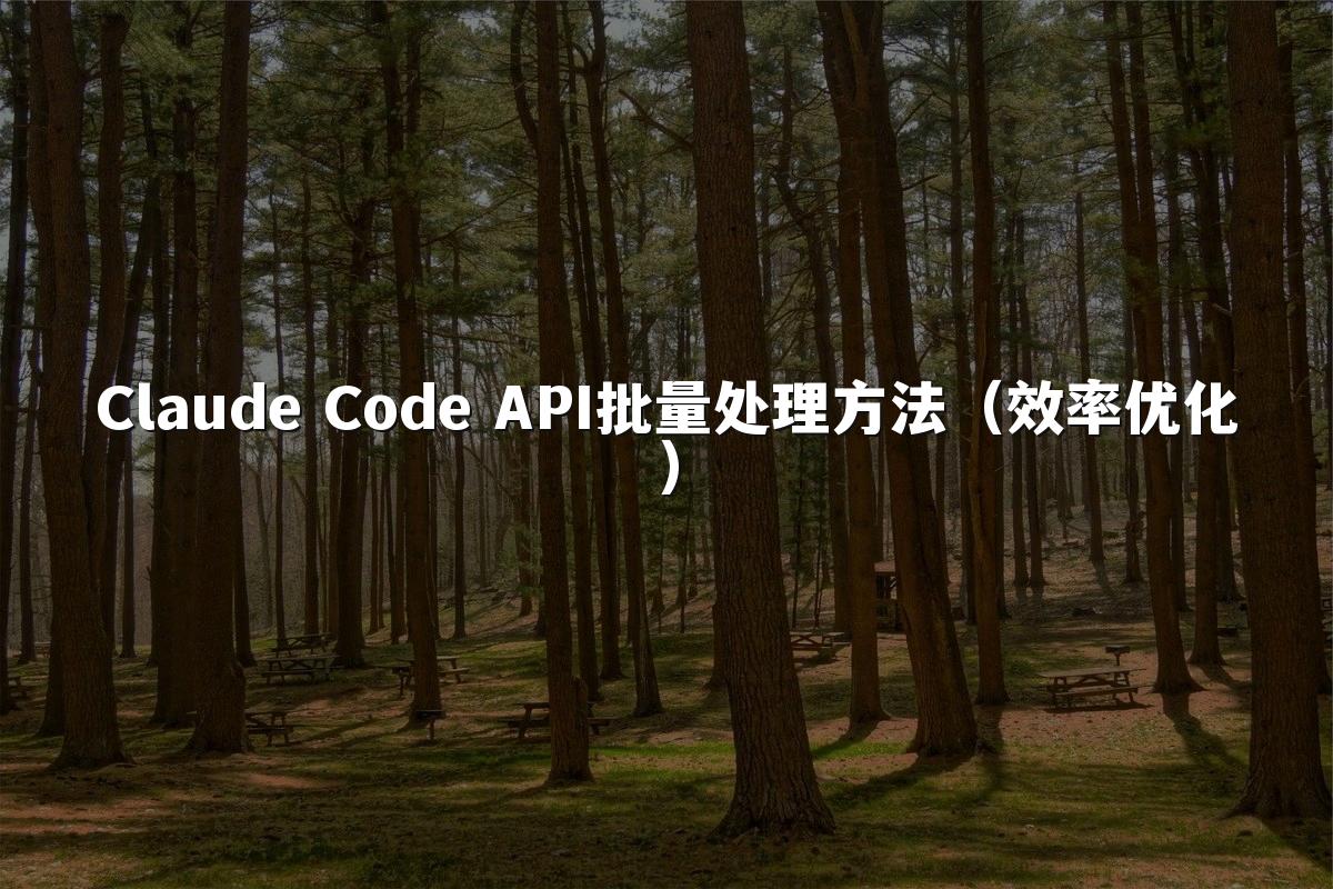 Claude Code API批量处理方法（效率优化）