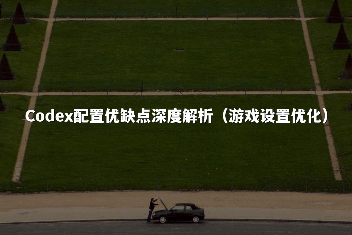 Codex配置优缺点深度解析（游戏设置优化）