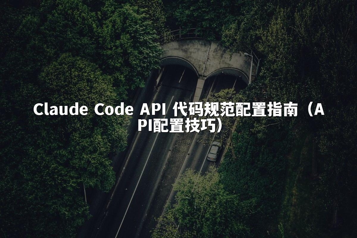 Claude Code API 代码规范配置指南(API配置技巧)