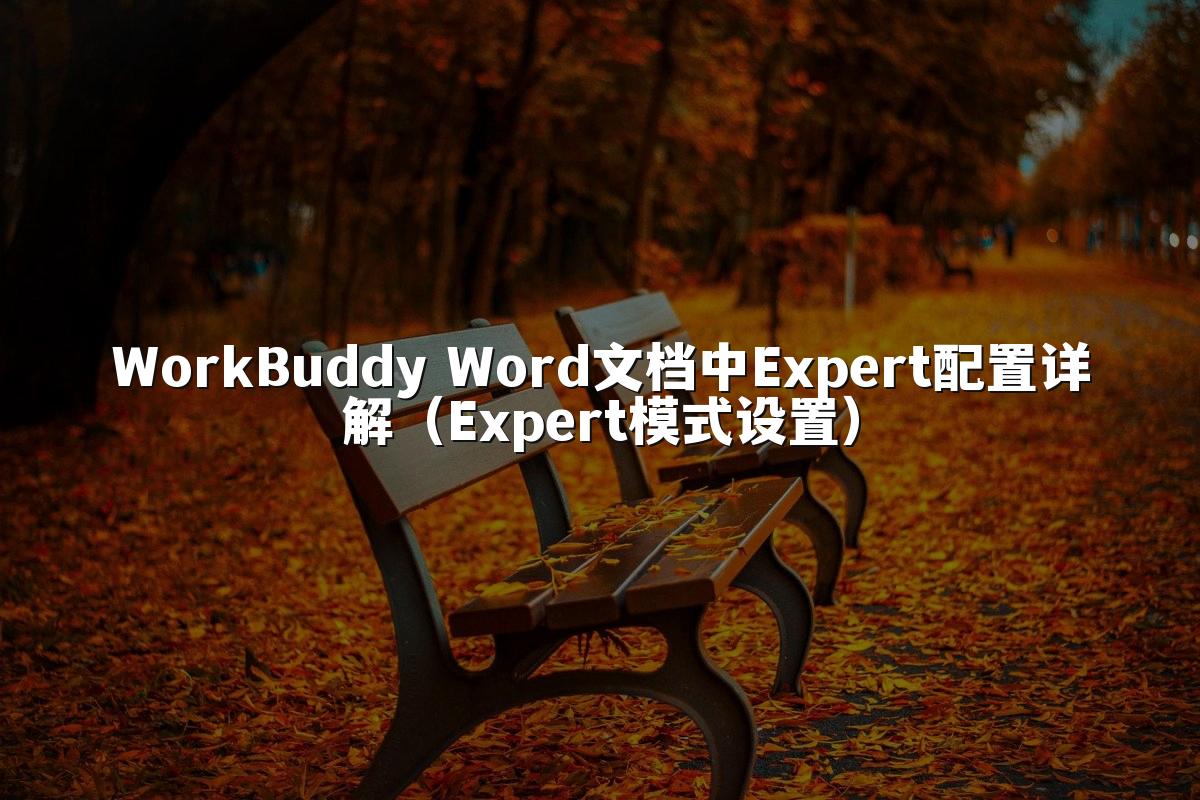 WorkBuddy Word文档中Expert配置详解(Expert模式设置)