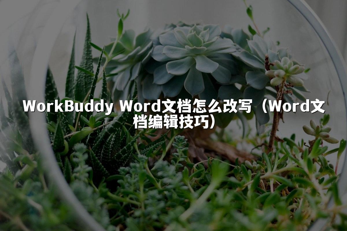 WorkBuddy Word文档怎么改写(Word文档编辑技巧)