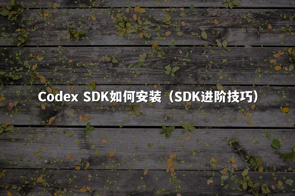 Codex SDK如何安装（SDK进阶技巧）