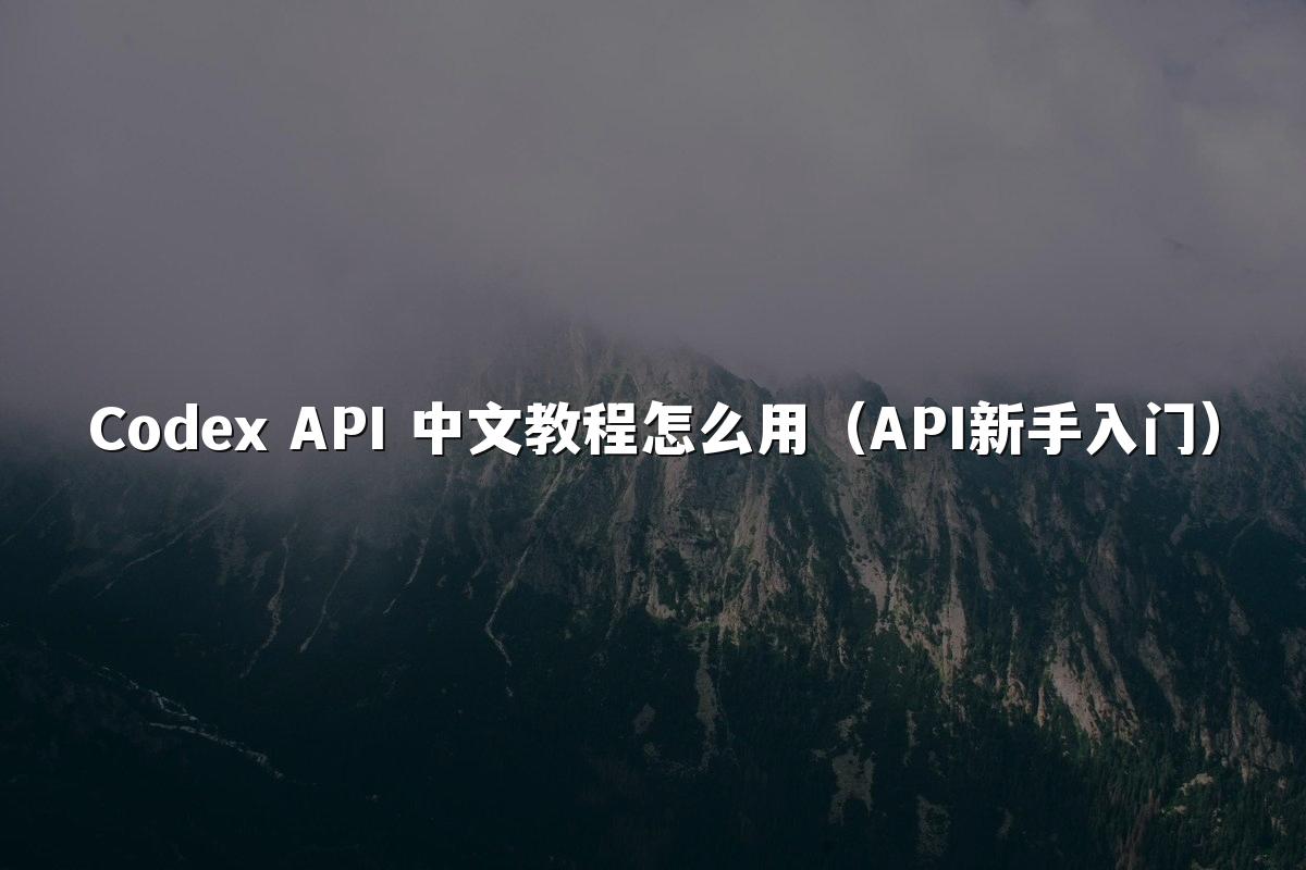 Codex API 中文教程怎么用(API新手入门)