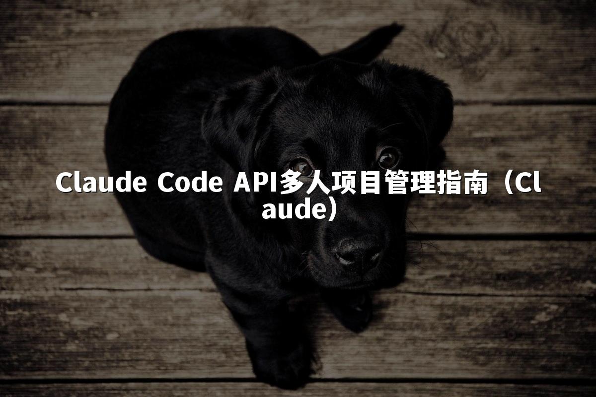 Claude Code API多人项目管理指南（Claude）