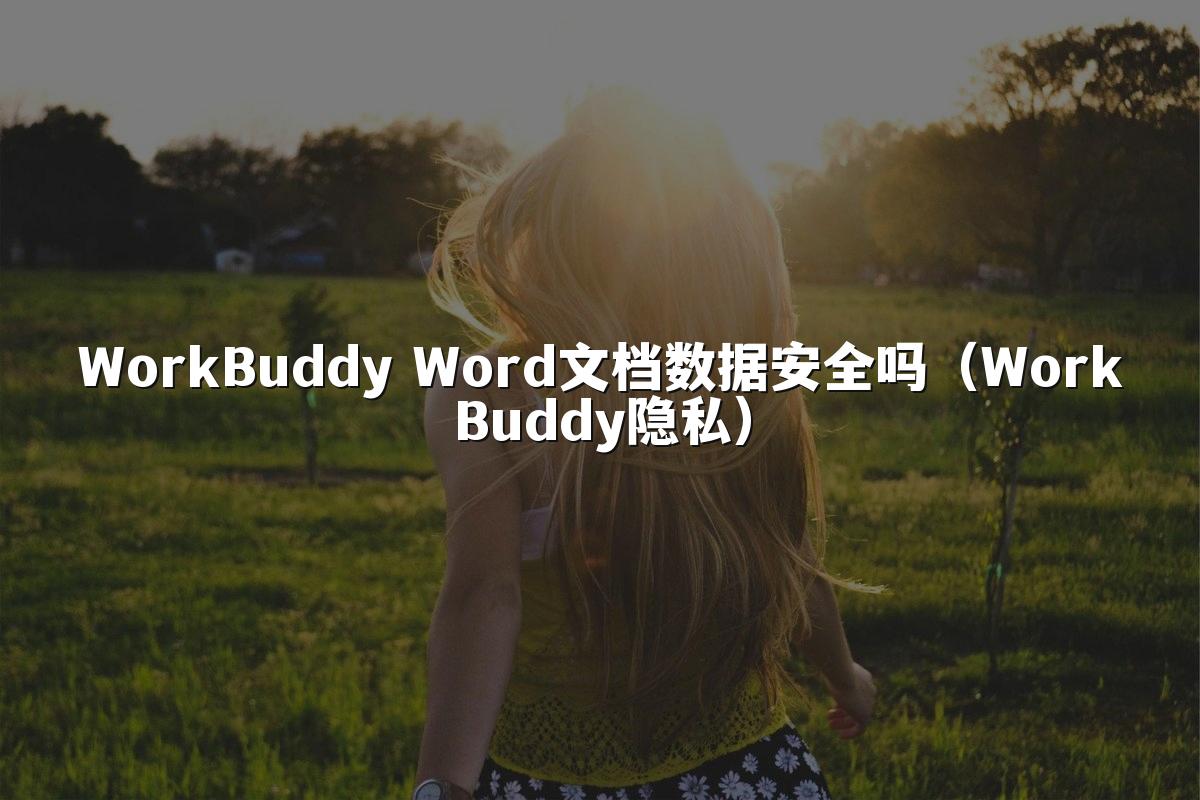 WorkBuddy Word文档数据安全吗(WorkBuddy隐私)