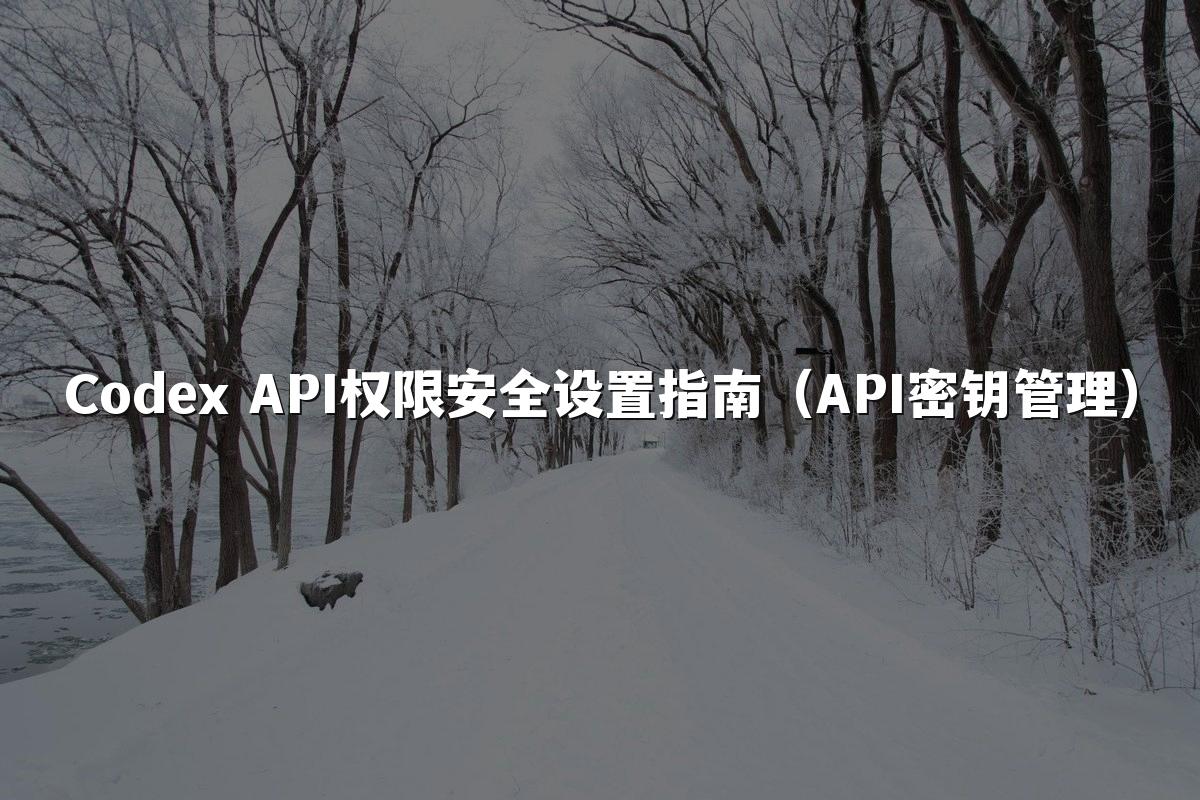 Codex API权限安全设置指南（API密钥管理）