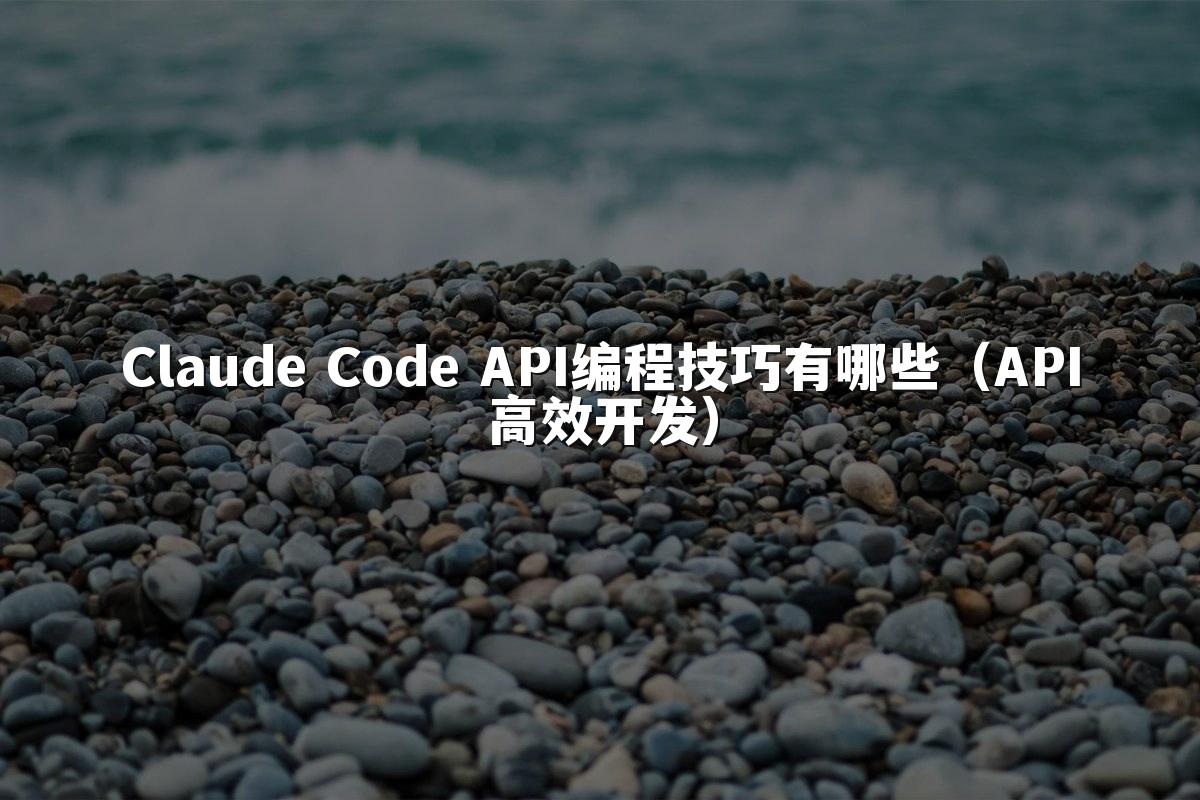 Claude Code API编程技巧有哪些（API高效开发）