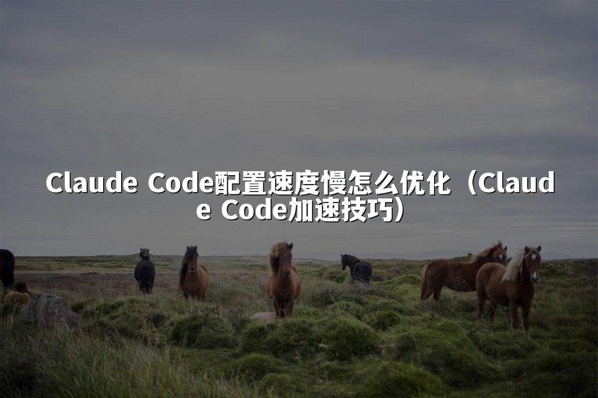 Claude Code配置速度慢怎么优化（Claude Code加速技巧）