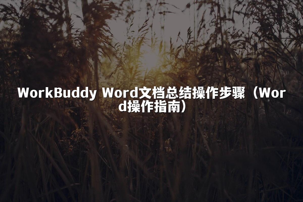 WorkBuddy Word文档总结操作步骤（Word操作指南）