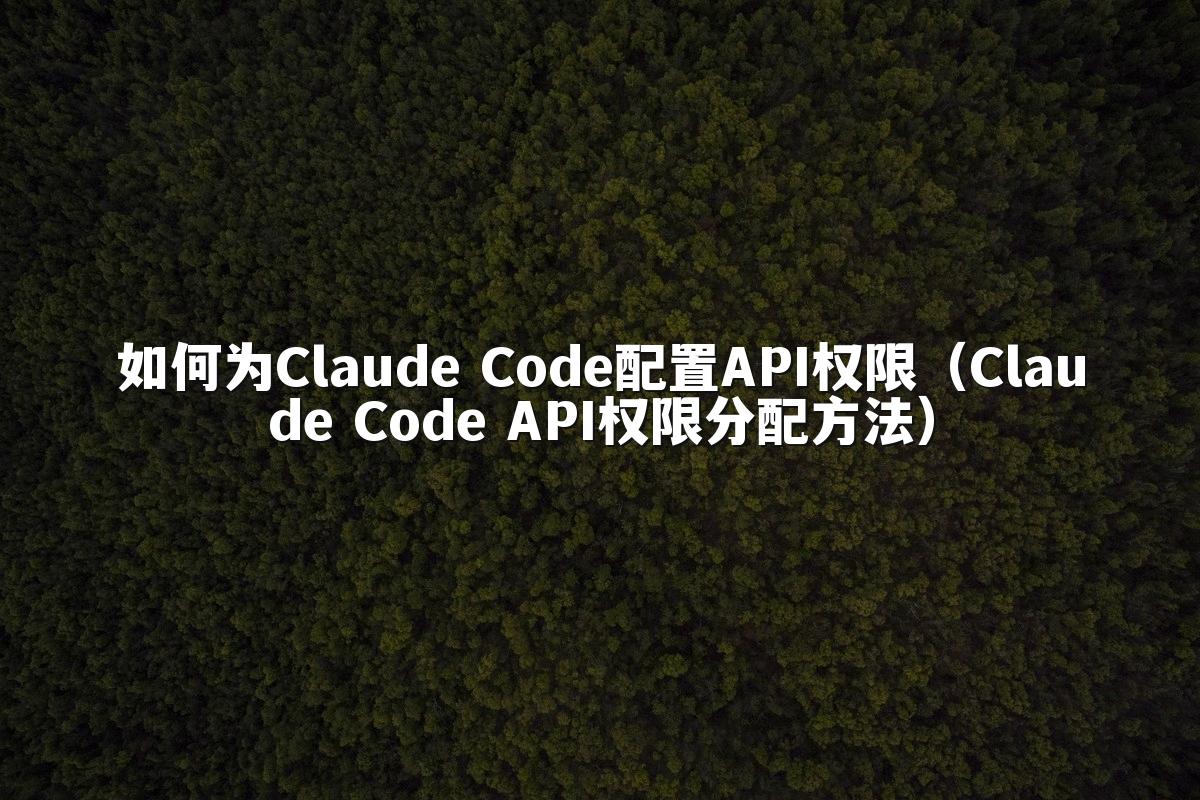 如何为Claude Code配置API权限(Claude Code API权限分配方法)