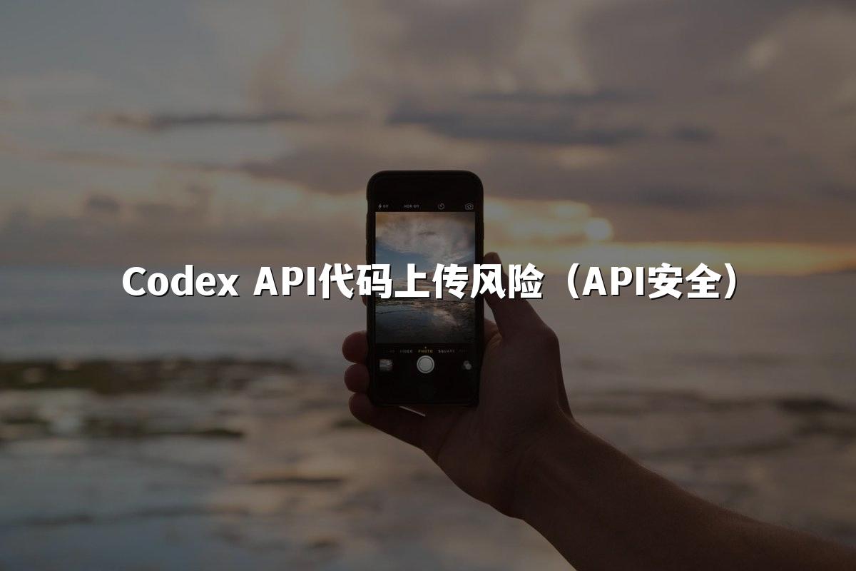 Codex API代码上传风险（API安全）