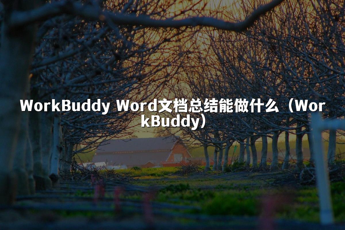 WorkBuddy Word文档总结能做什么（WorkBuddy）