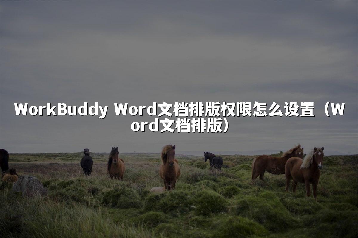 WorkBuddy Word文档排版权限怎么设置(Word文档排版)