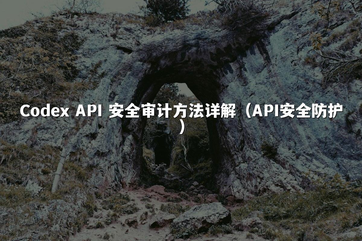 Codex API 安全审计方法详解(API安全防护)