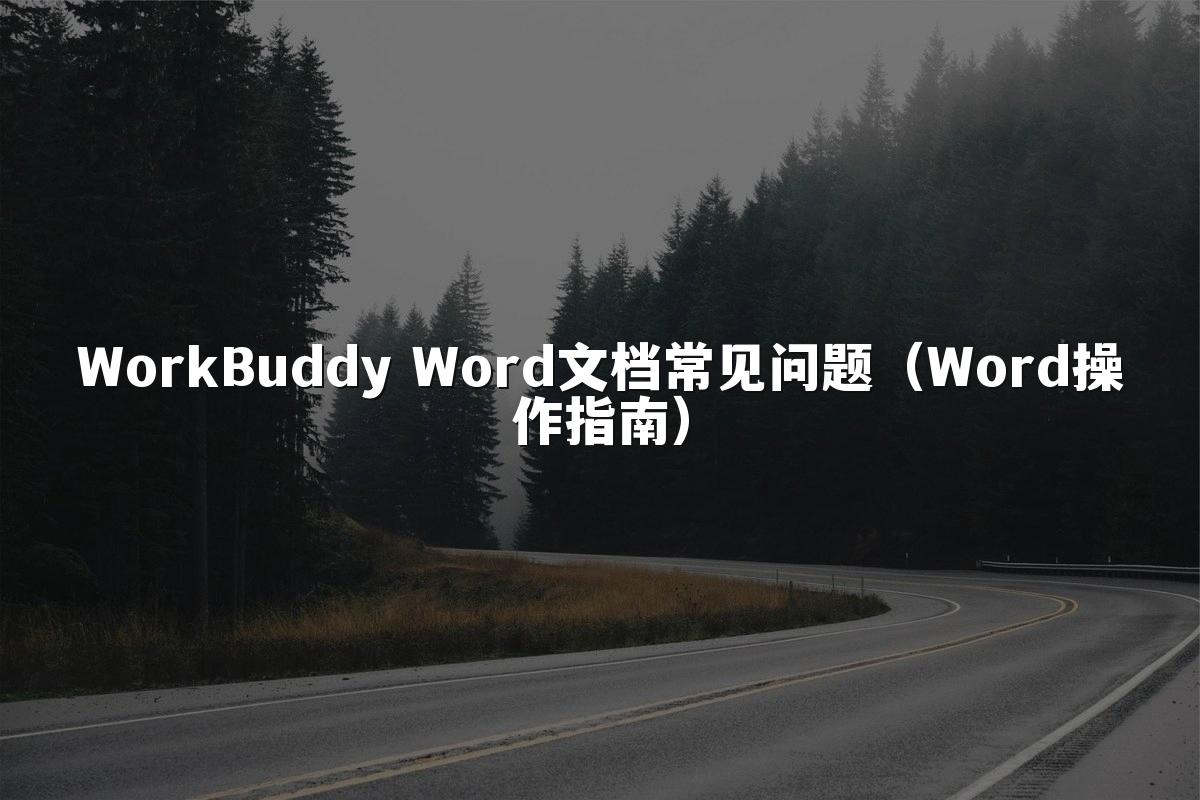 WorkBuddy Word文档常见问题（Word操作指南）