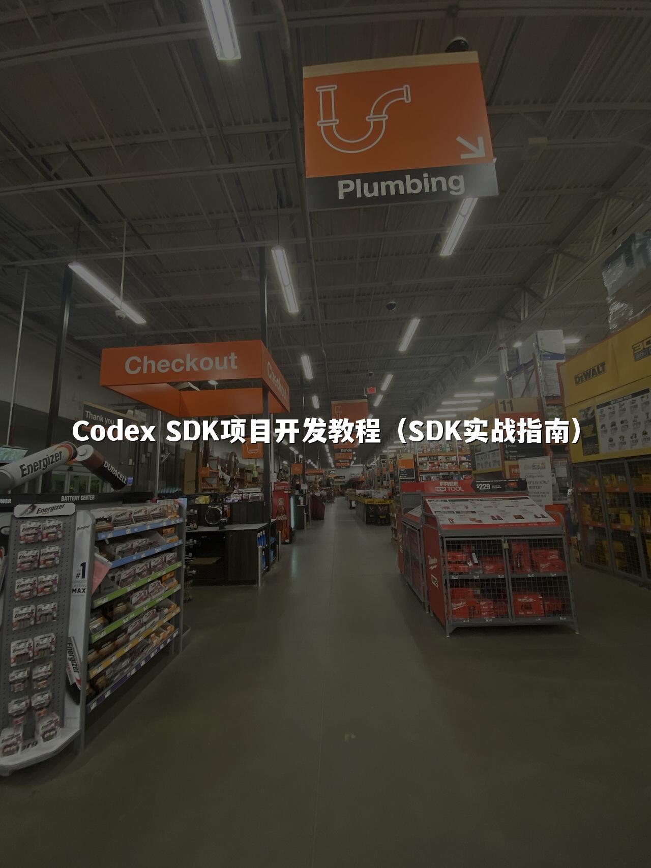 Codex SDK项目开发教程(SDK实战指南)