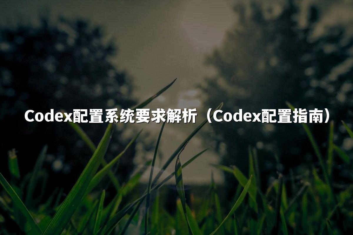 Codex配置系统要求解析（Codex配置指南）