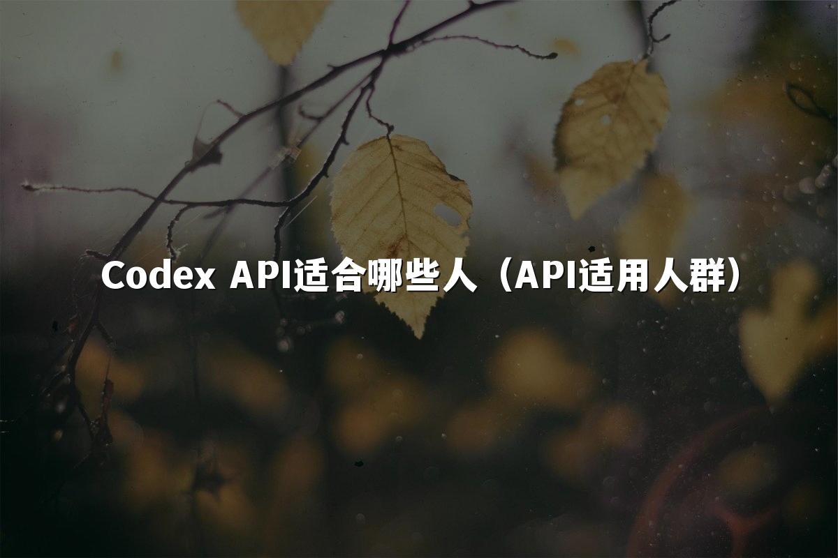 Codex API适合哪些人(API适用人群)