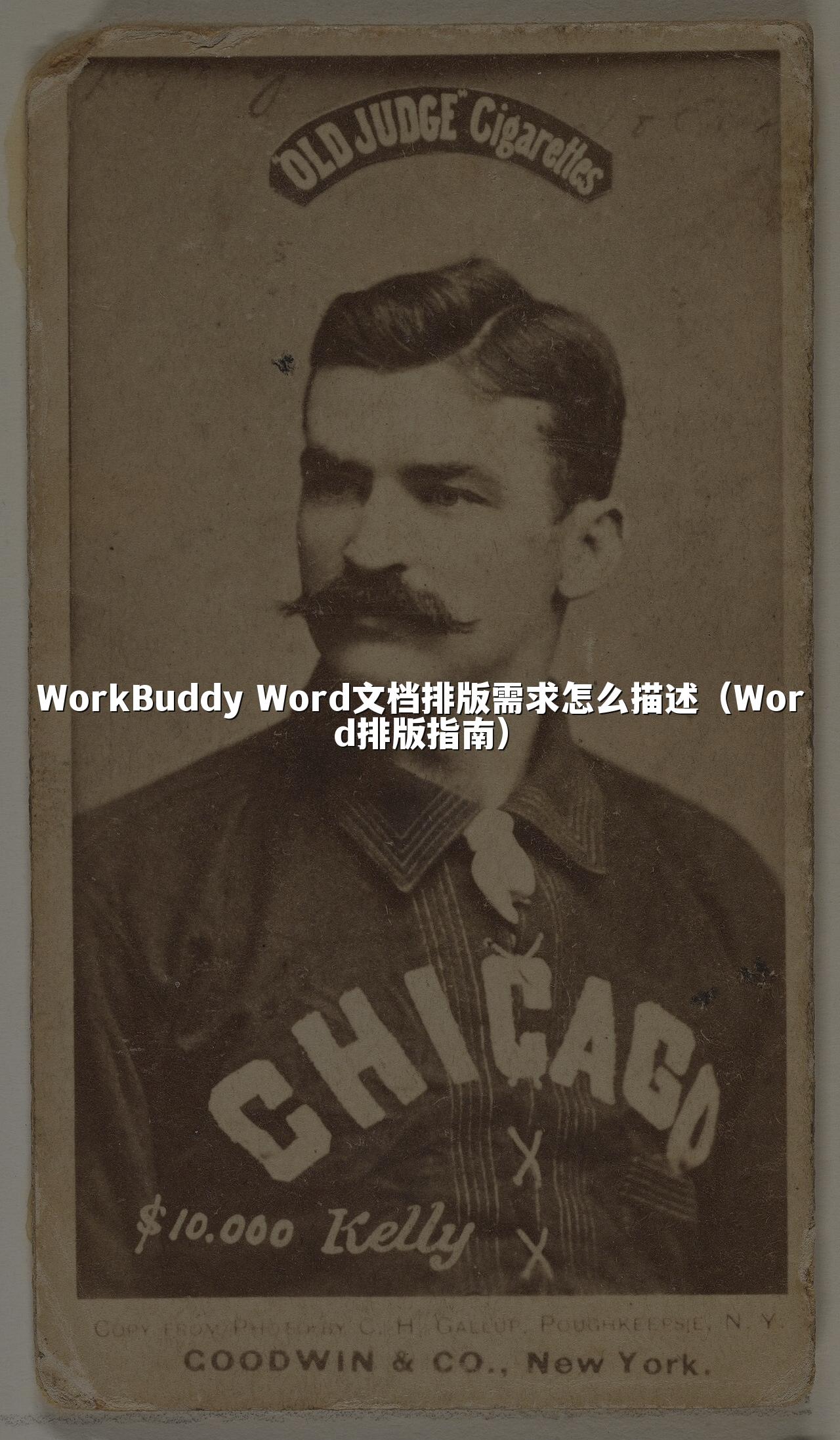 WorkBuddy Word文档排版需求怎么描述(Word排版指南)