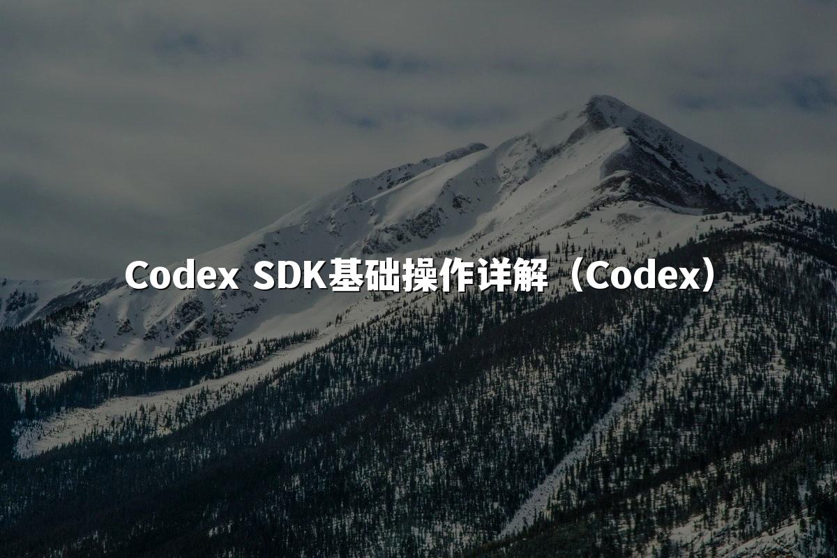 Codex SDK基础操作详解(Codex)