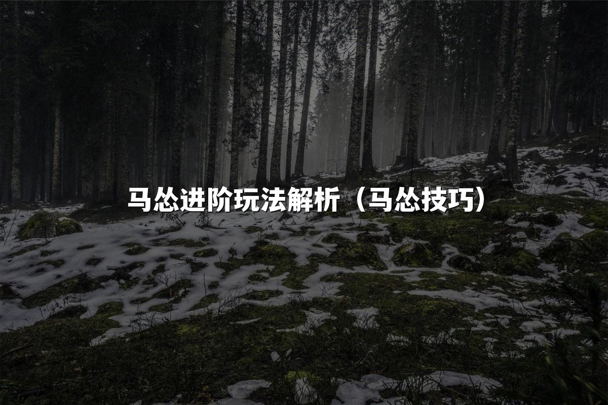 马怂进阶玩法解析（马怂技巧）