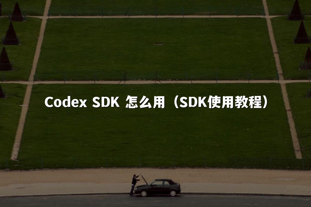 Codex SDK 怎么用(SDK使用教程)