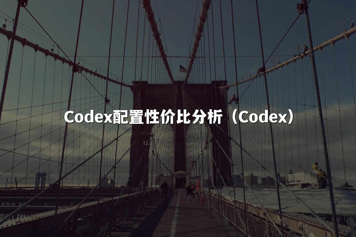 Codex配置性价比分析（Codex）
