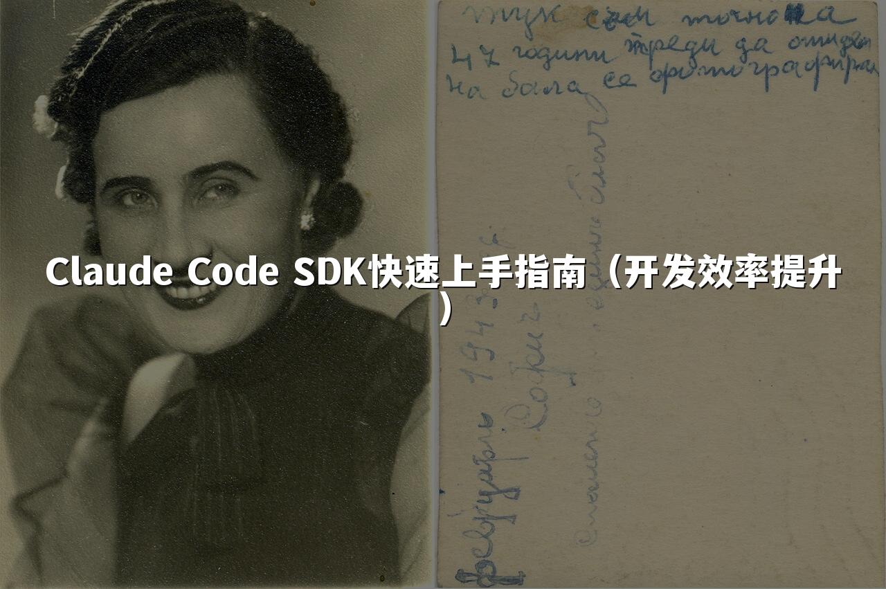 Claude Code SDK快速上手指南（开发效率提升）