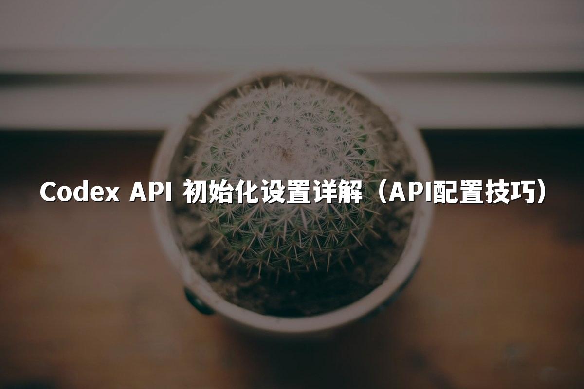 Codex API 初始化设置详解（API配置技巧）