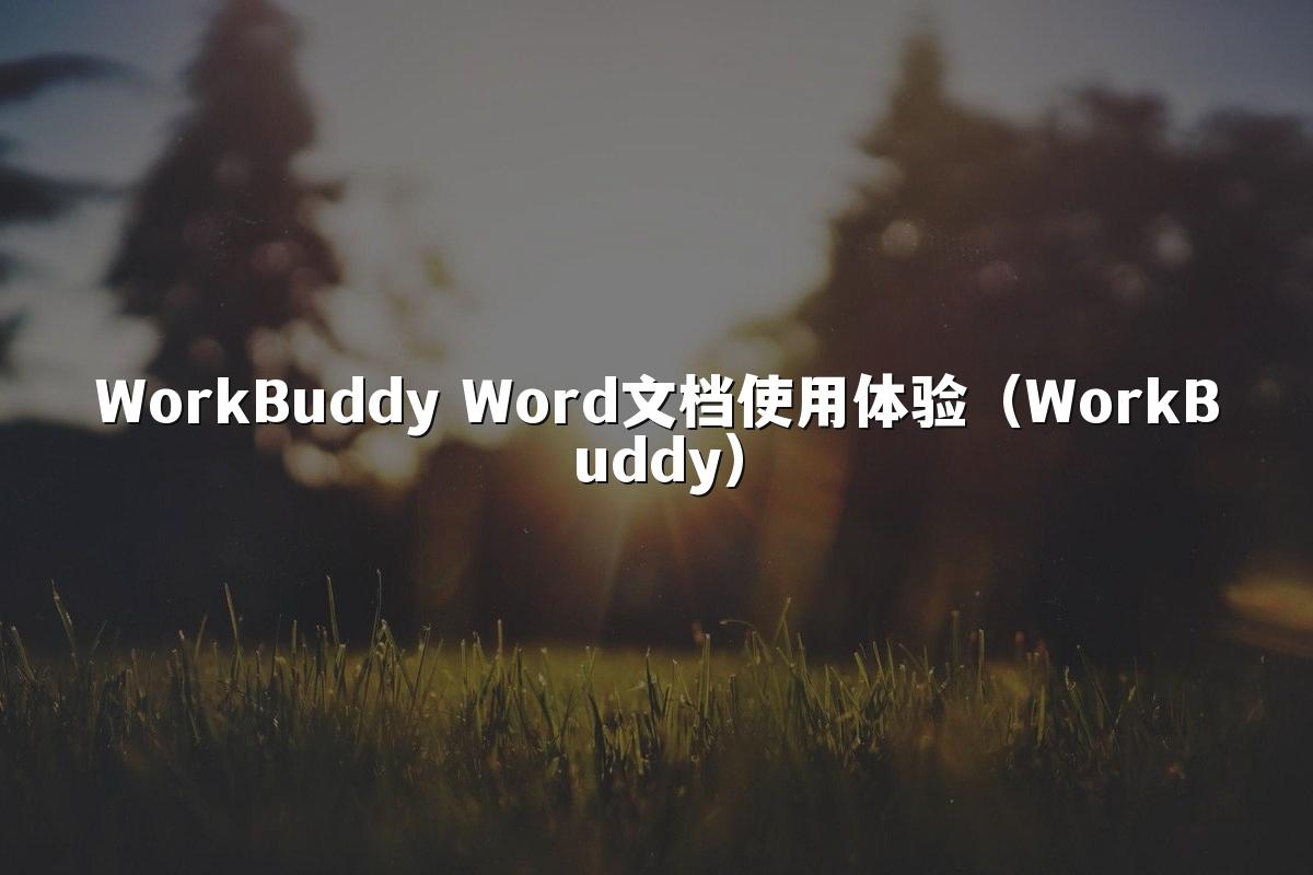 WorkBuddy Word文档使用体验(WorkBuddy)