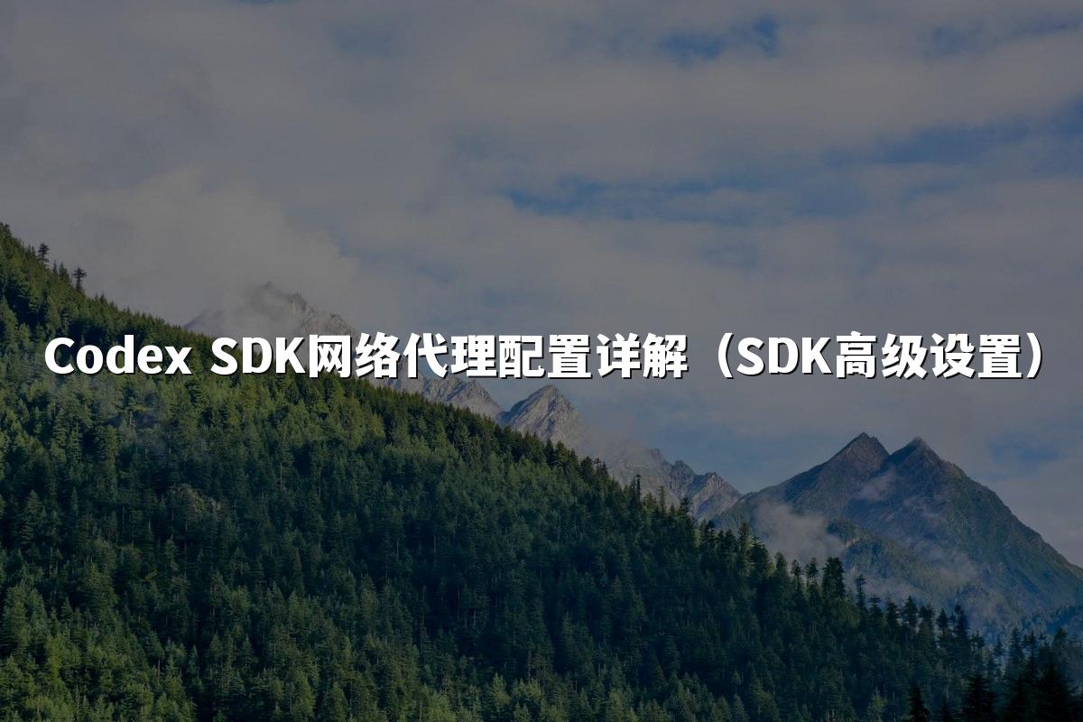 Codex SDK网络代理配置详解(SDK高级设置)