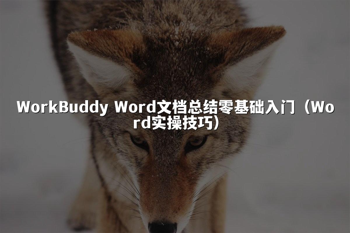 WorkBuddy Word文档总结零基础入门（Word实操技巧）