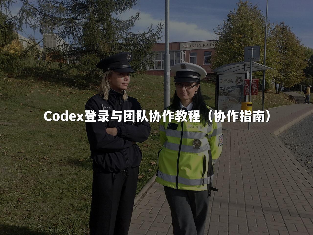 Codex登录与团队协作教程(协作指南)
