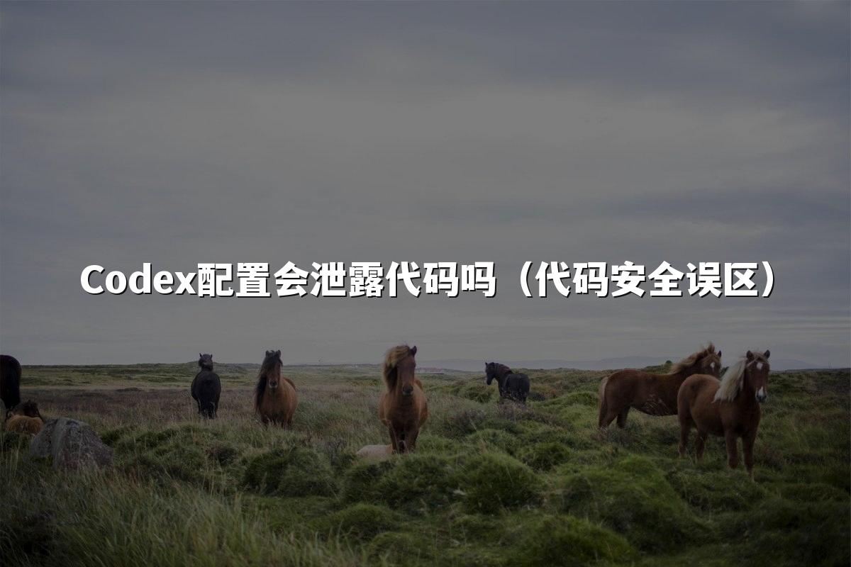 Codex配置会泄露代码吗（代码安全误区）