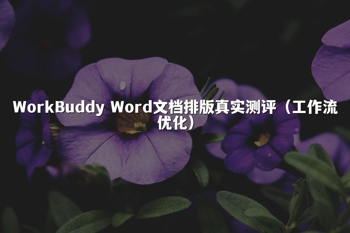 WorkBuddy Word文档排版真实测评（工作流优化）