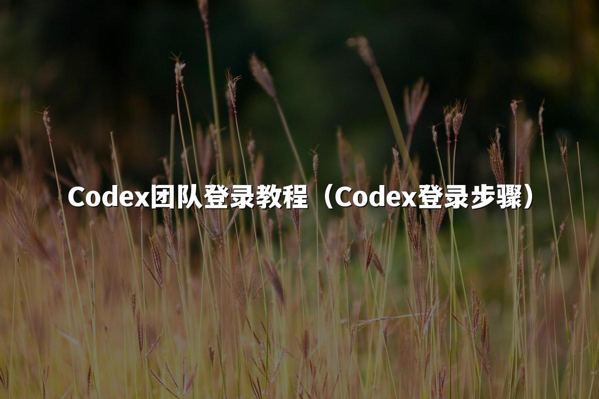 Codex团队登录教程(Codex登录步骤)